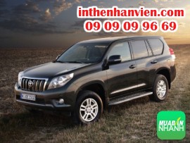 Các dòng xe Toyota thích hợp khi đi du lịch