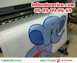In trang trí decal dán tường kiểu dáng độc, hướng dẫn cách dán decal lên kính không nhăn